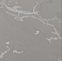 Серые обои для стен Bernardo Bartalucci Gaga  84282-18