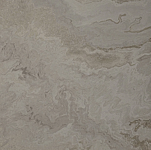 Бежевые обои для стен Bernardo Bartalucci Gaga  84285-6