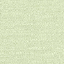 Зелёные обои для стен Alessandro Allori Bruni 1003-13 RBN