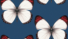 Обои бабочки в спальню Andrea Rossi Sheradi 54401-8