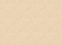 Оранжевые обои в спальню Zambaiti Trussardi VIII Z30347